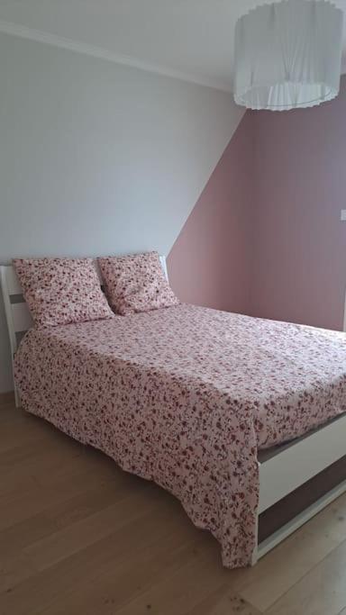 Maison Paisible Et Ensoleillee Avignon Kültér fotó